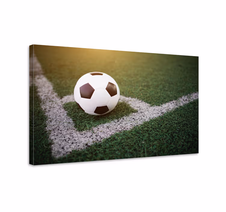 Canvas schilderij jongeren Mooi voetbal op gras - TenStickers