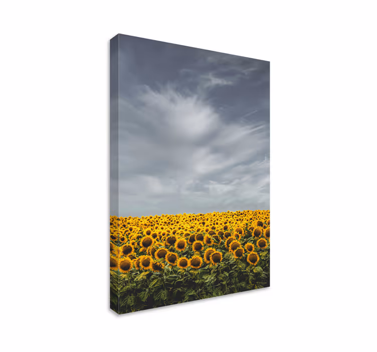 Canvas schilderij bloemen en planten zonnebloemenweide - TenStickers