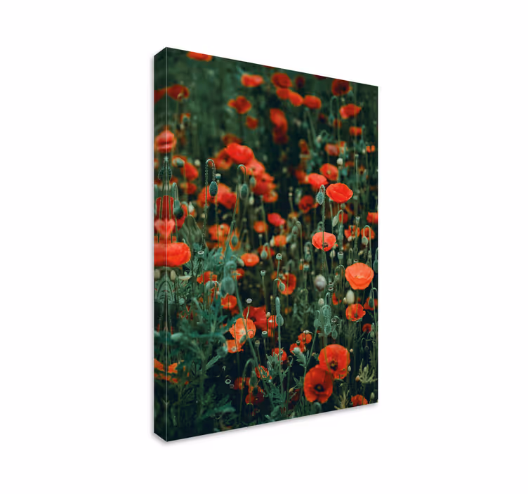 Canvas schilderij bloemen en planten rode wilde bloemenveld - TenStickers