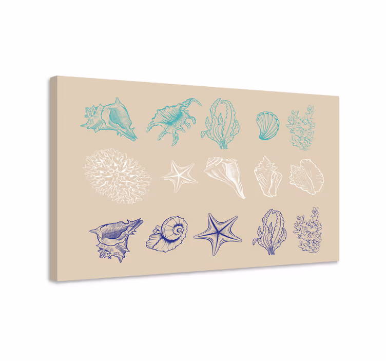 Canvas schilderij marine schelpen van de kust collectie - TenStickers