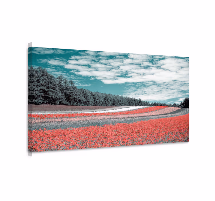 Canvas landschap vibrant bloemenveld - TenStickers