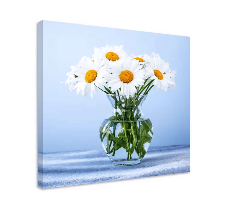 Canvas schilderij bloemen en planten madeliefjes in glas - TenStickers