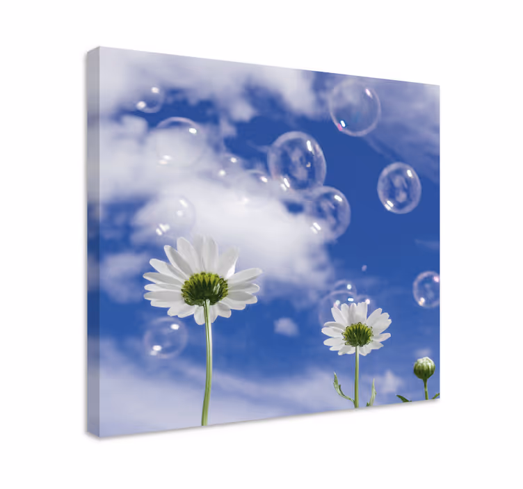 Madeliefjes en bellen Canvas schilderij bloemen en planten - TenStickers