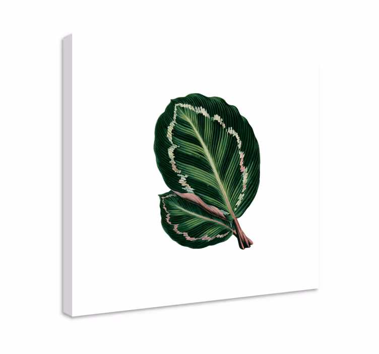 Canvas schilderij bloemen en planten groot blad ontwerp - TenStickers