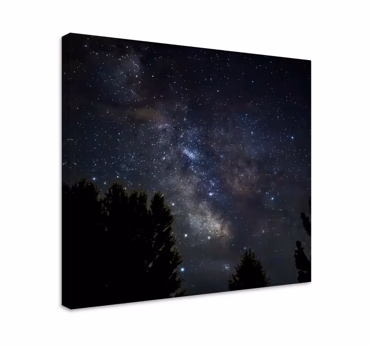 Canvas landschap sterrennacht landschap - TenStickers