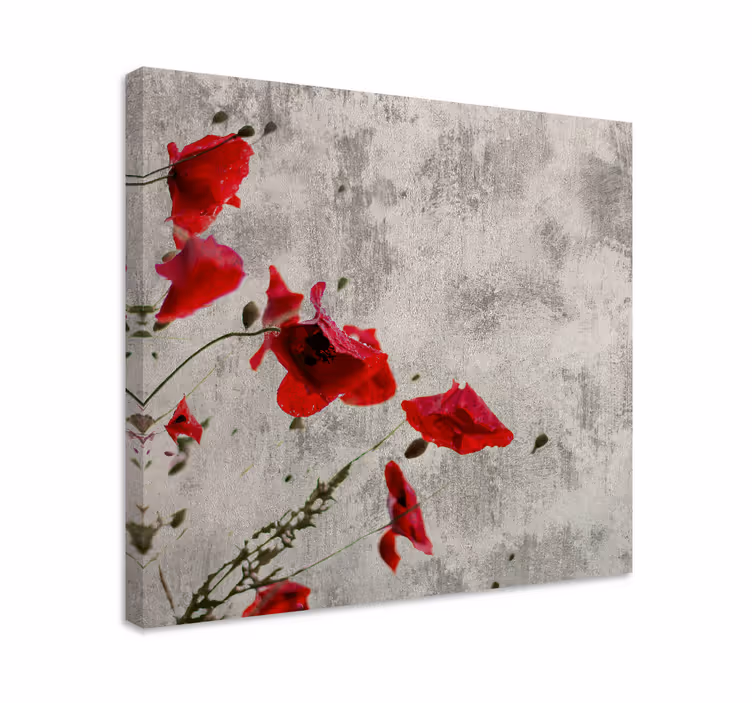Canvas schilderij bloemen en planten rode klaproos bloei - TenStickers