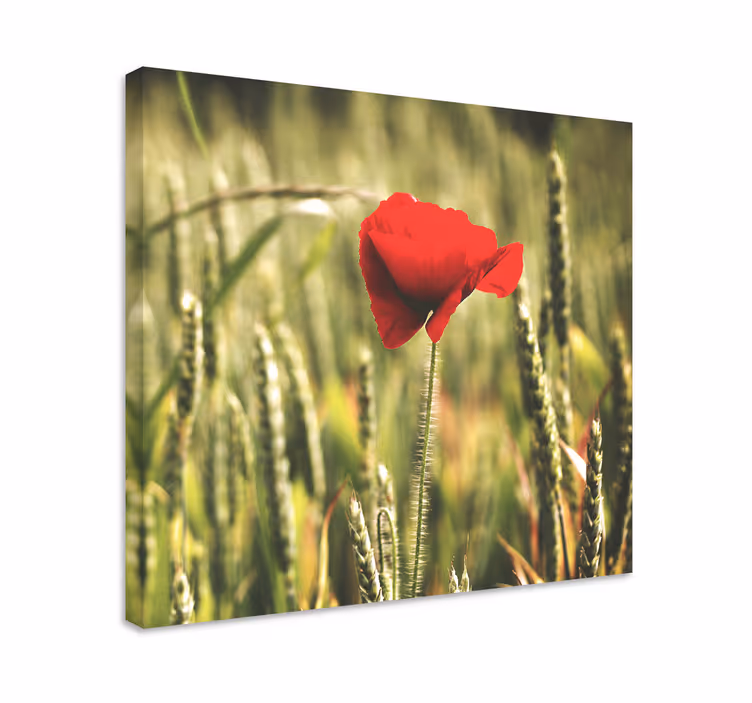 Canvas schilderij bloemen en planten rode bloem bloei - TenStickers