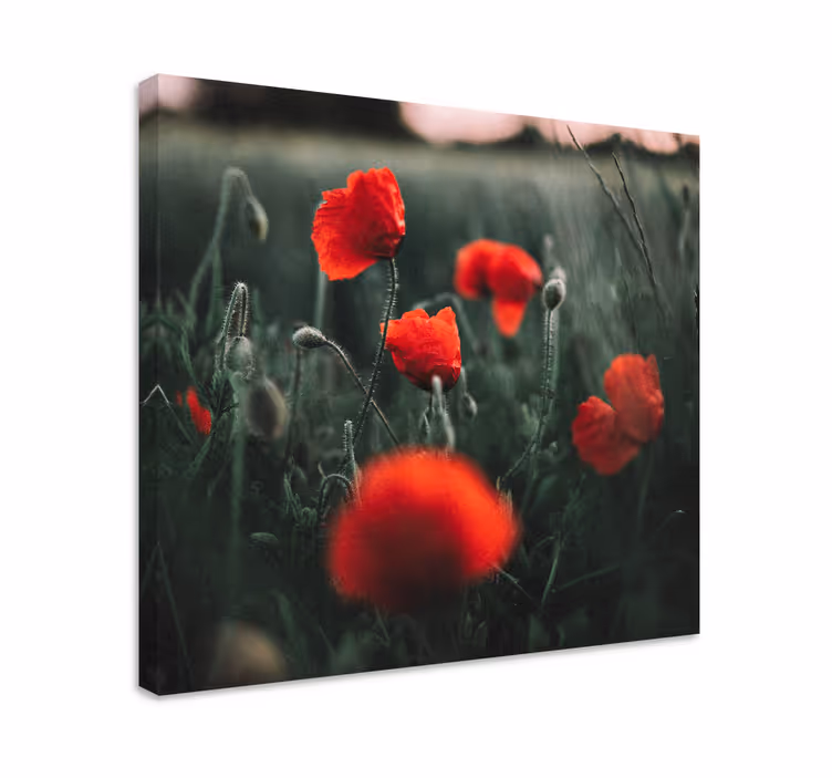 Canvas schilderij bloemen en planten vivid klaprozen - TenStickers