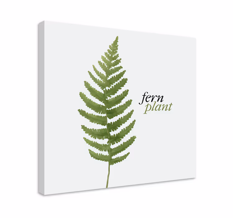 Canvas schilderij bloemen en planten varenplant ontwerp - TenStickers