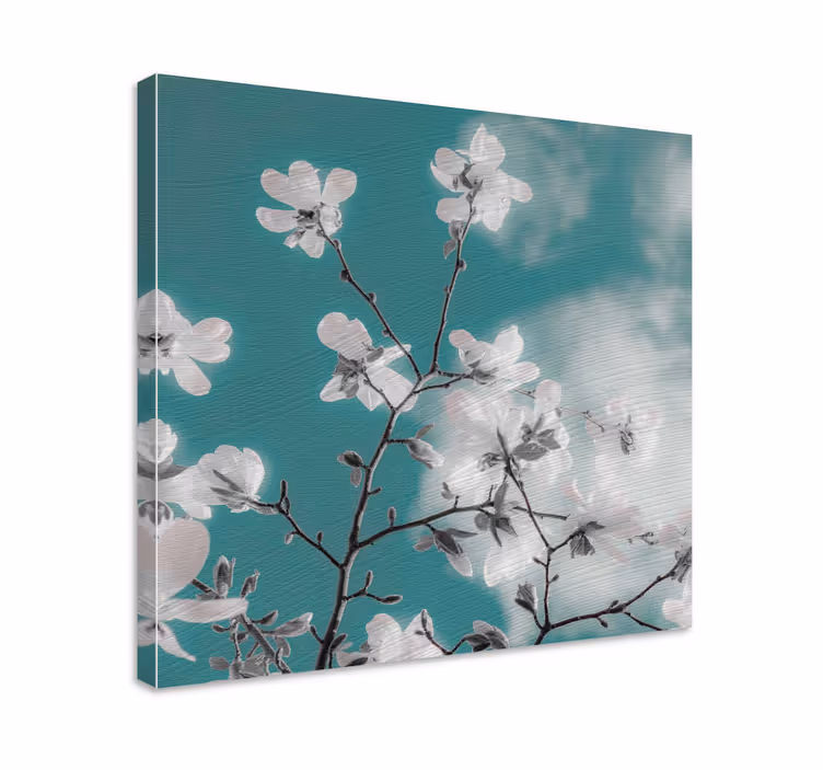 Canvas schilderij bloemen en planten delicate bloemen tak - TenStickers