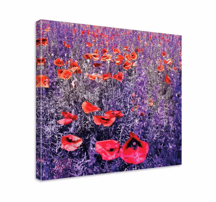 Canvas schilderij bloemen en planten luminous klaprozenveld - TenStickers