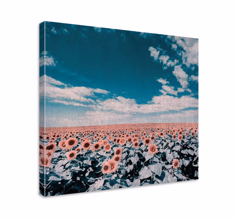 Zonnebloemveld horizon Canvas schilderij bloemen en planten - TenStickers