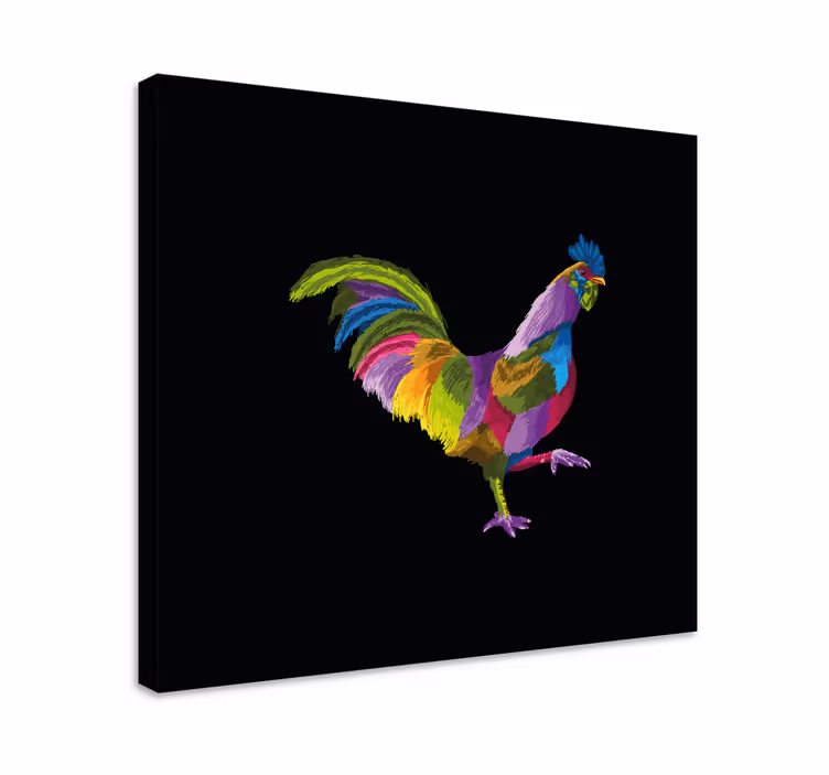 Kleurrijk haanontwerp Canvas schilderij vogels - TenStickers