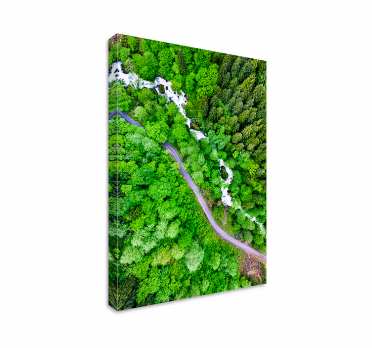 Canvas landschap kronkelige bosrivier - TenStickers