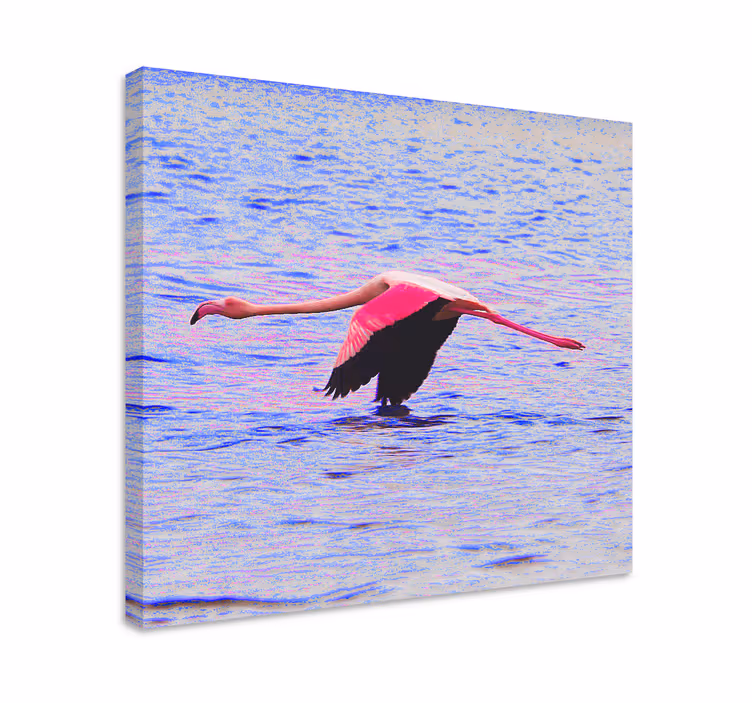 Canvas schilderij vis flamingo in vlucht - TenStickers