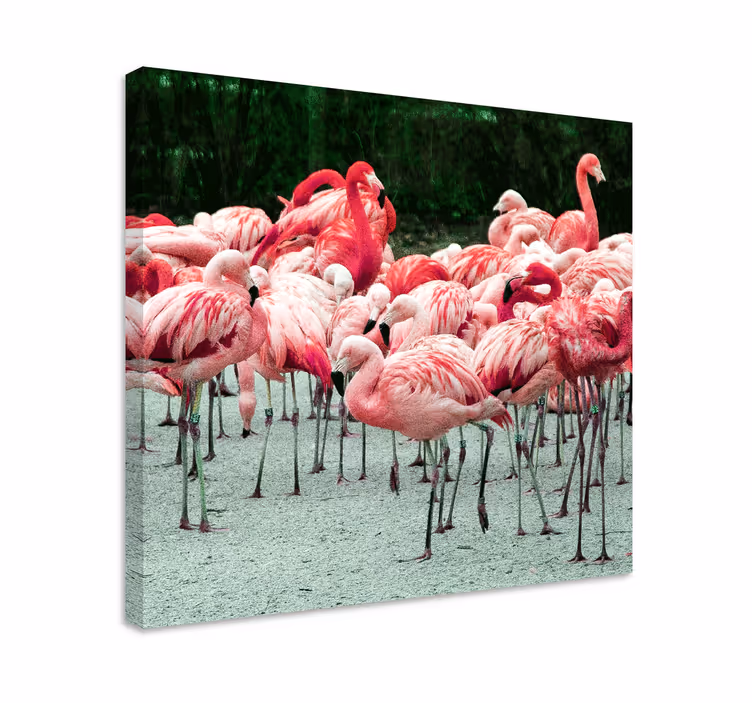Canvas schilderij vogels flamingo groep - TenStickers