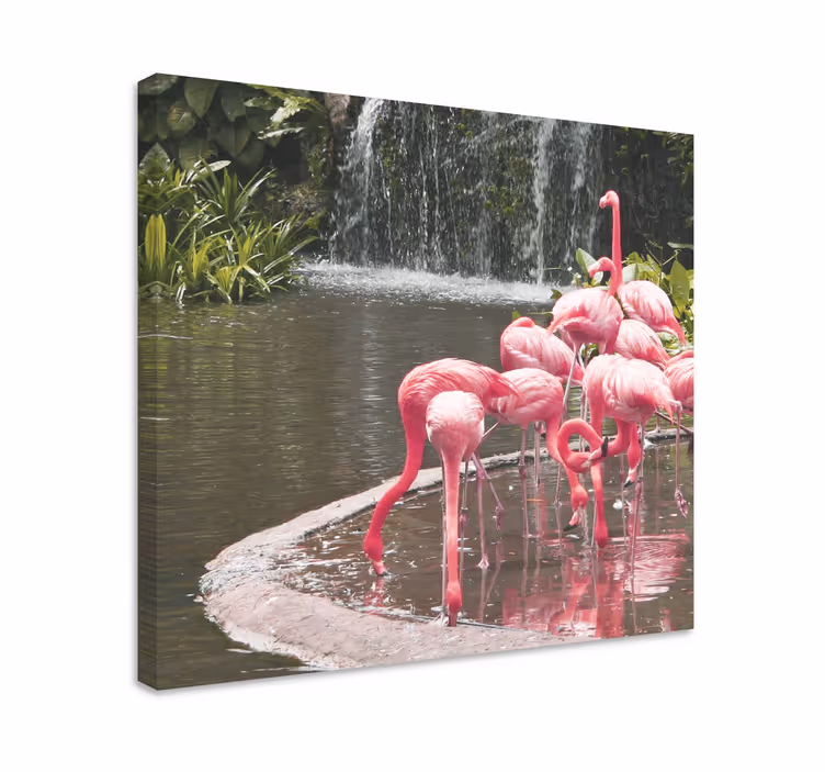 Canvas schilderij vogels flamingo zwerm zwembad - TenStickers