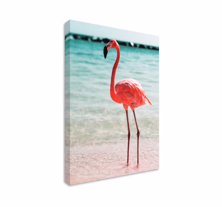 Canvas schilderij vogels elegante flamingo houding - TenStickers