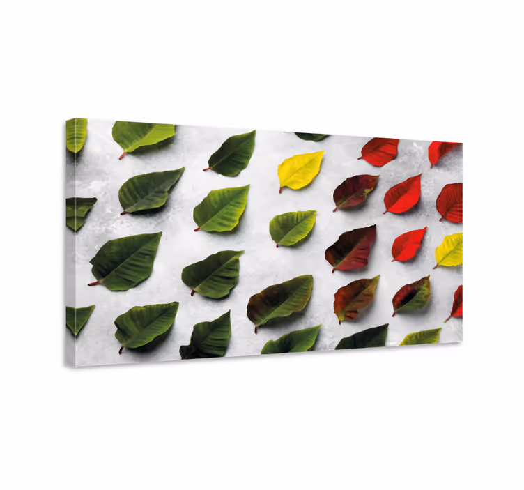 Diverse bladcollectie Canvas schilderij bloemen en planten - TenStickers