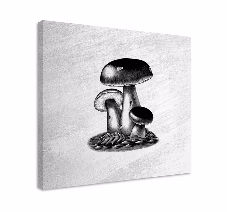 Canvas schilderij bloemen en planten paddenstoelen trio - TenStickers