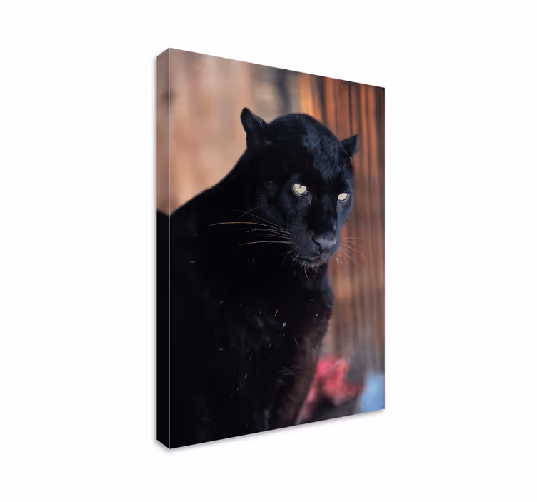 3D canvas schilderij Luipaard stalking - TenStickers