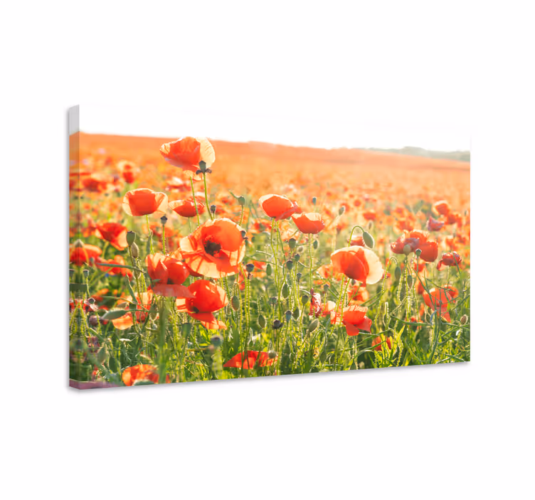Canvas schilderij bloemen en planten maanvelden - TenStickers