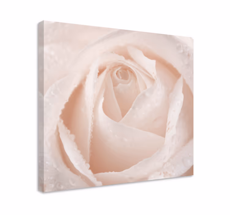 Canvas schilderij bloemen en planten elegante rozenbloem - TenStickers