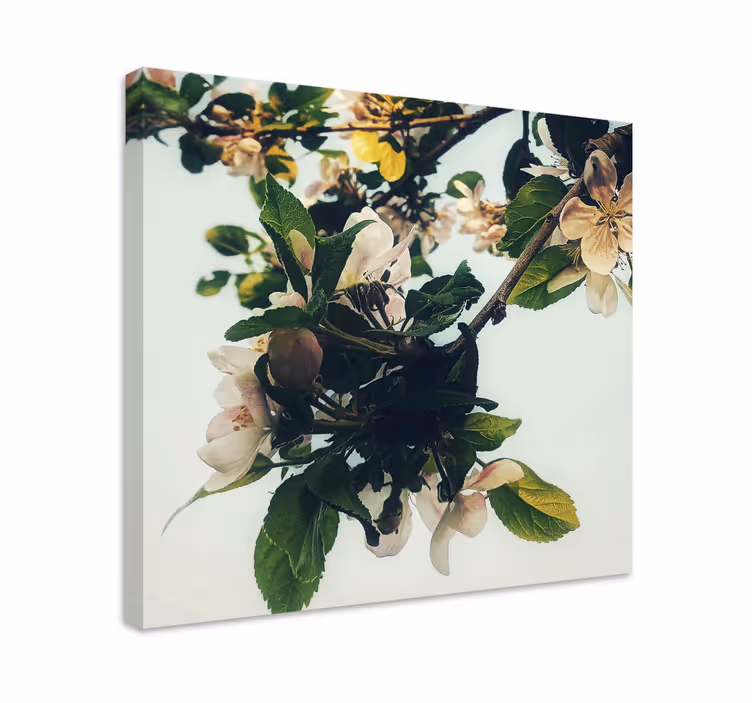 Canvas schilderij bloemen en planten bloeiende app tak - TenStickers