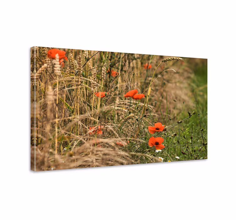 Levendig papaverveld Canvas schilderij bloemen en planten - TenStickers