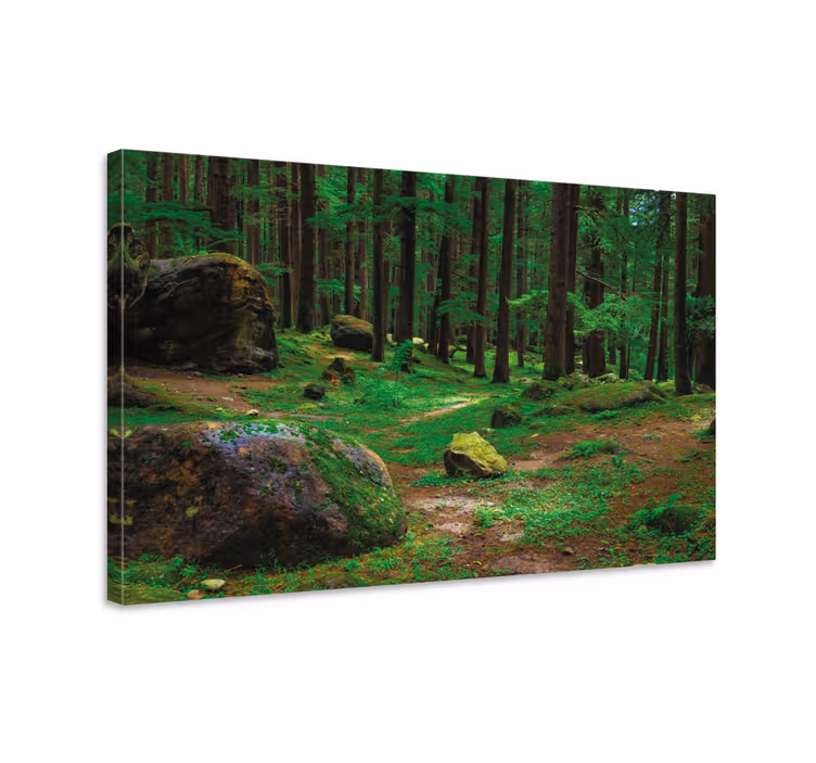 Weelderig bospad Canvas bomen - TenStickers