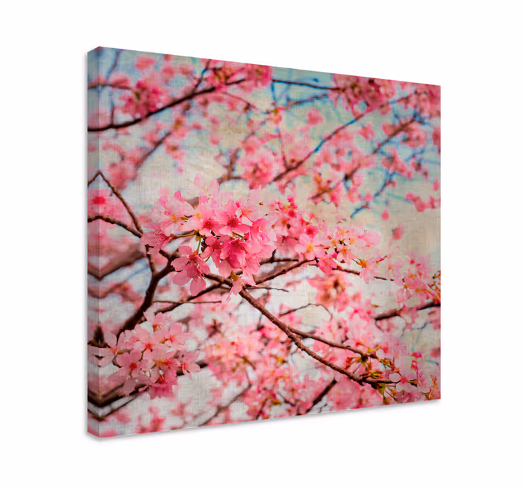 Canvas schilderij bloemen en planten kersenbloesem bloesems - TenStickers