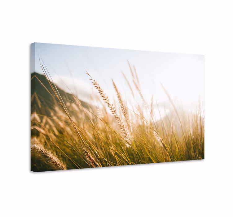 Canvas schilderij bloemen en planten gouden grasvelden - TenStickers