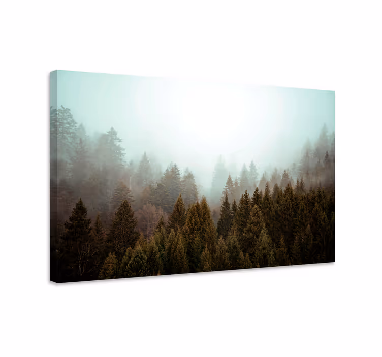 Canvas landschap mistige boszicht - TenStickers