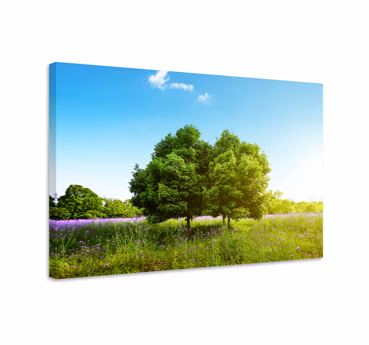 Canvas bomen serene groene scène - TenStickers