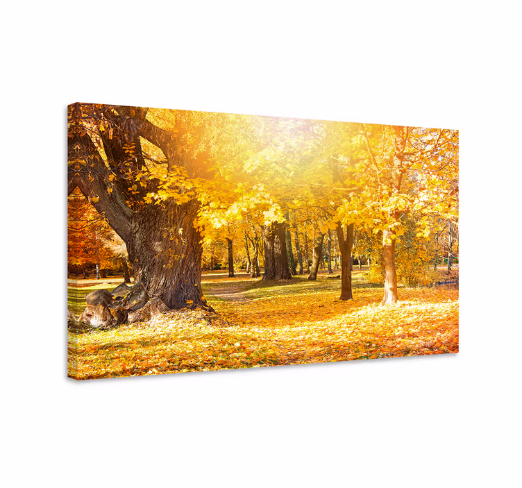 Canvas bomen herfst bospad - TenStickers