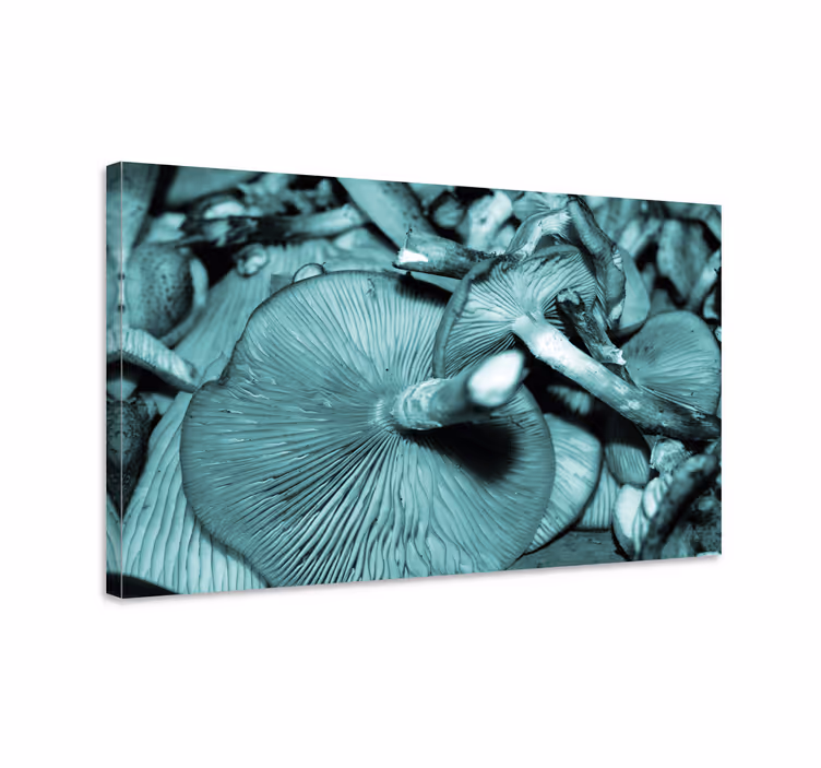 Canvas schilderij bloemen en planten paddenstoelen groei - TenStickers