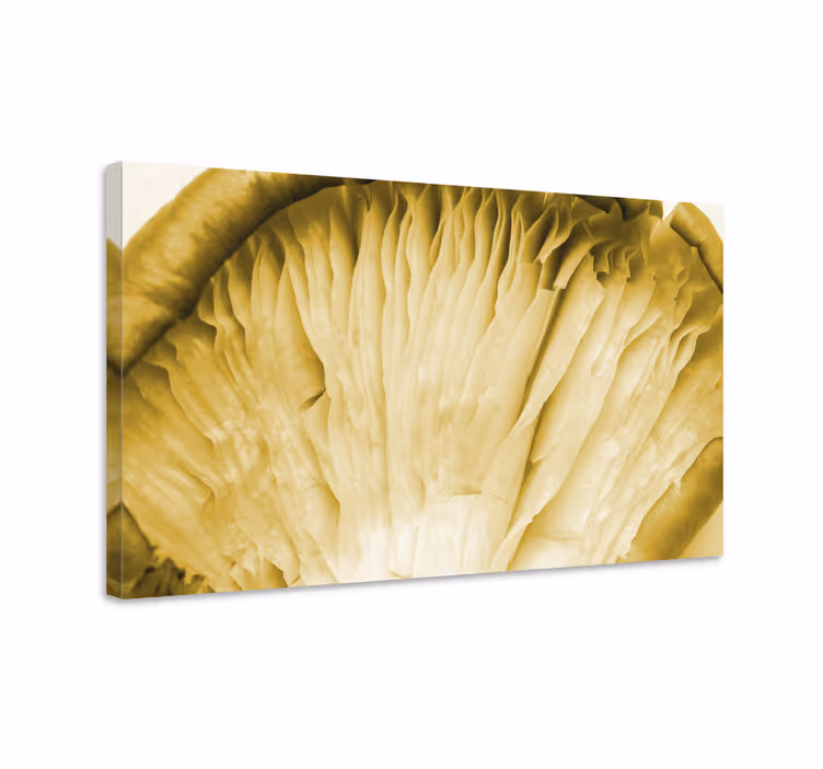 Canvas schilderij bloemen en planten paddenstoelenlamellen - TenStickers