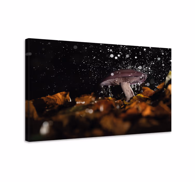 Canvas schilderij bloemen en planten paddenstoel spetter - TenStickers
