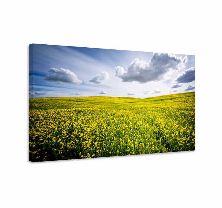 Canvas landschap stralend geel veld - TenStickers
