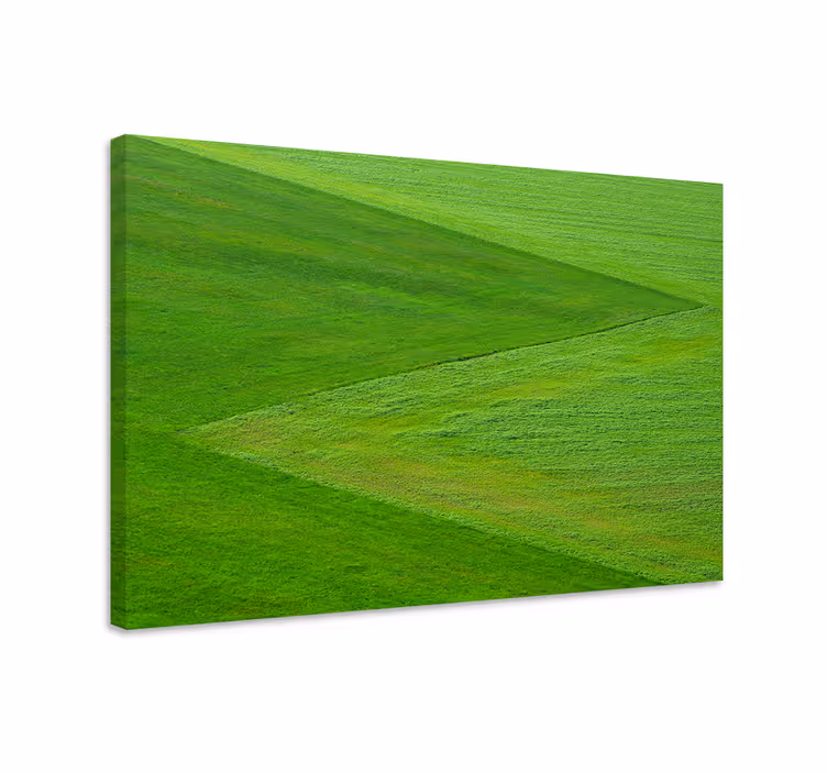 Canvas landschap weelderig groen terrein - TenStickers