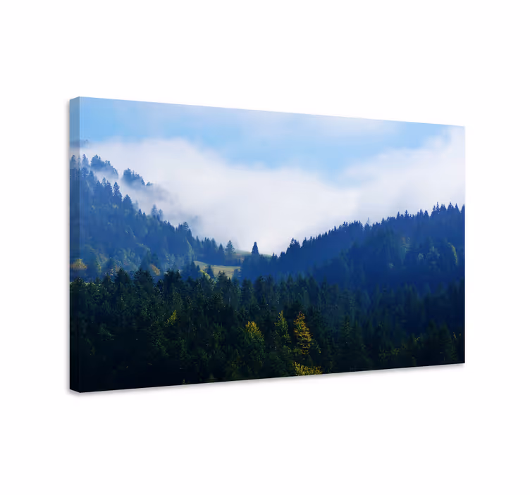 Canvas landschap majestueuze bospieken - TenStickers