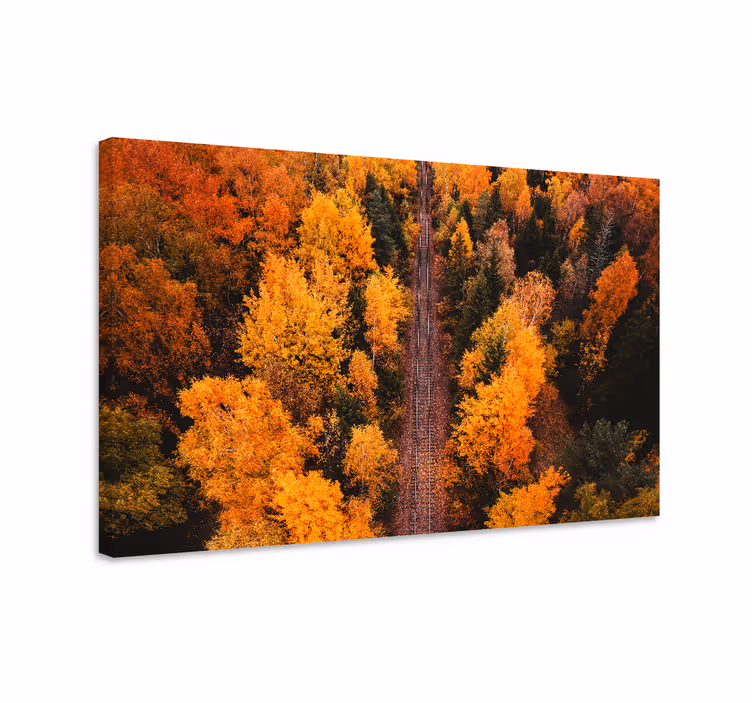 Canvas landschap herfstbladeren pad - TenStickers