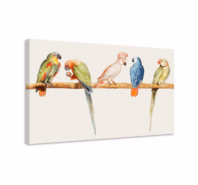 Canvas schilderij vogels kleurrijke papegaaien collectie - TenStickers