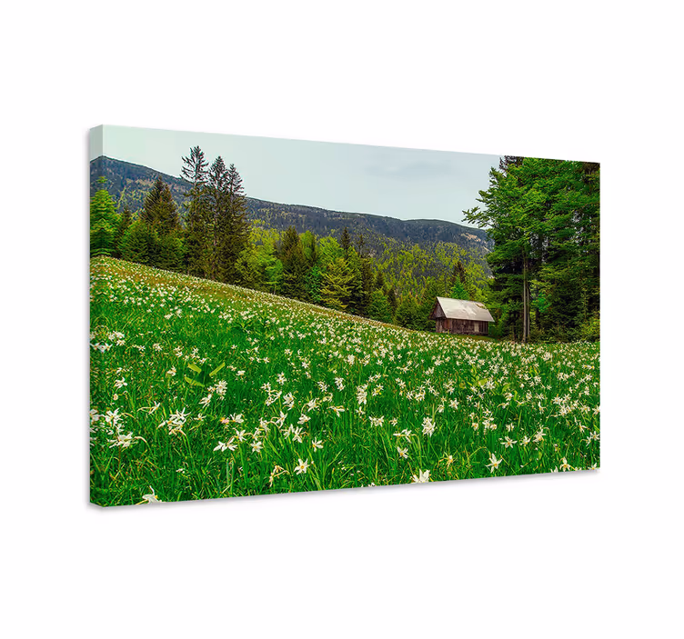 Canvas landschap charmante plattelands cabin - TenStickers