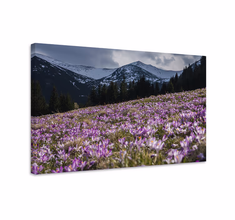 Canvas schilderij bloemen en planten paarse bloemenweide - TenStickers