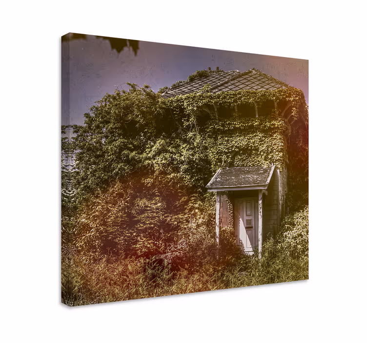 Canvas schilderij rustiek verlaten rustieke cottage - TenStickers