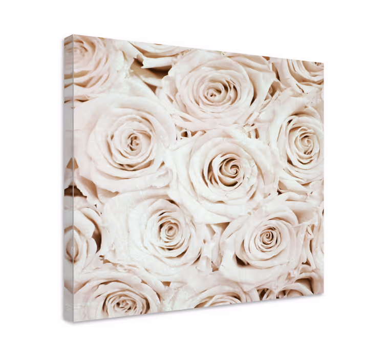 Canvas schilderij bloemen en planten roze bloesem - TenStickers