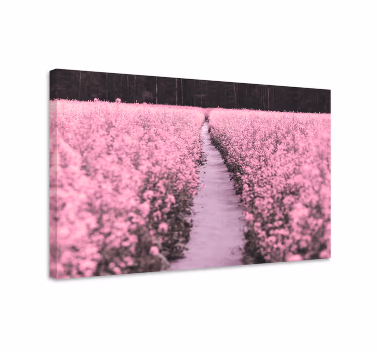 Canvas schilderij bloemen en planten pad door bloemen - TenStickers