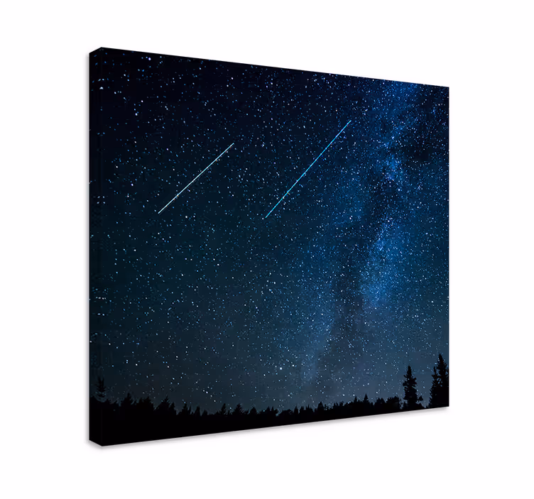 Canvas landschap sterrenhemel in de avond - TenStickers