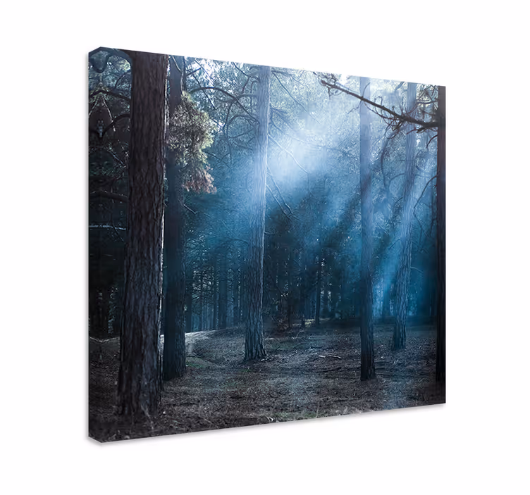 Canvas landschap mistig bospaadje - TenStickers